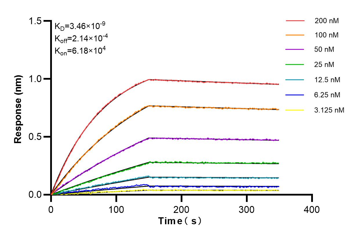 Affinity and Kinetic Characterization of 84615-2-PBS