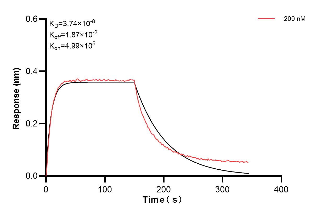 Biolayer interferometry (BLl) kinetic assay of 84621-2-PBS against Human SPARC was performed. The affinity constant is 37.4 nM. Affinity of 84621-2-PBS