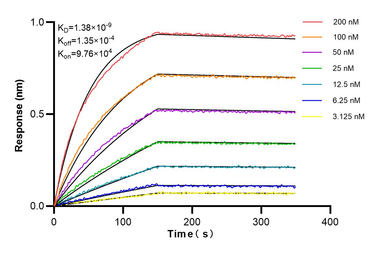 Affinity and Kinetic Characterization of 84646-4-RR