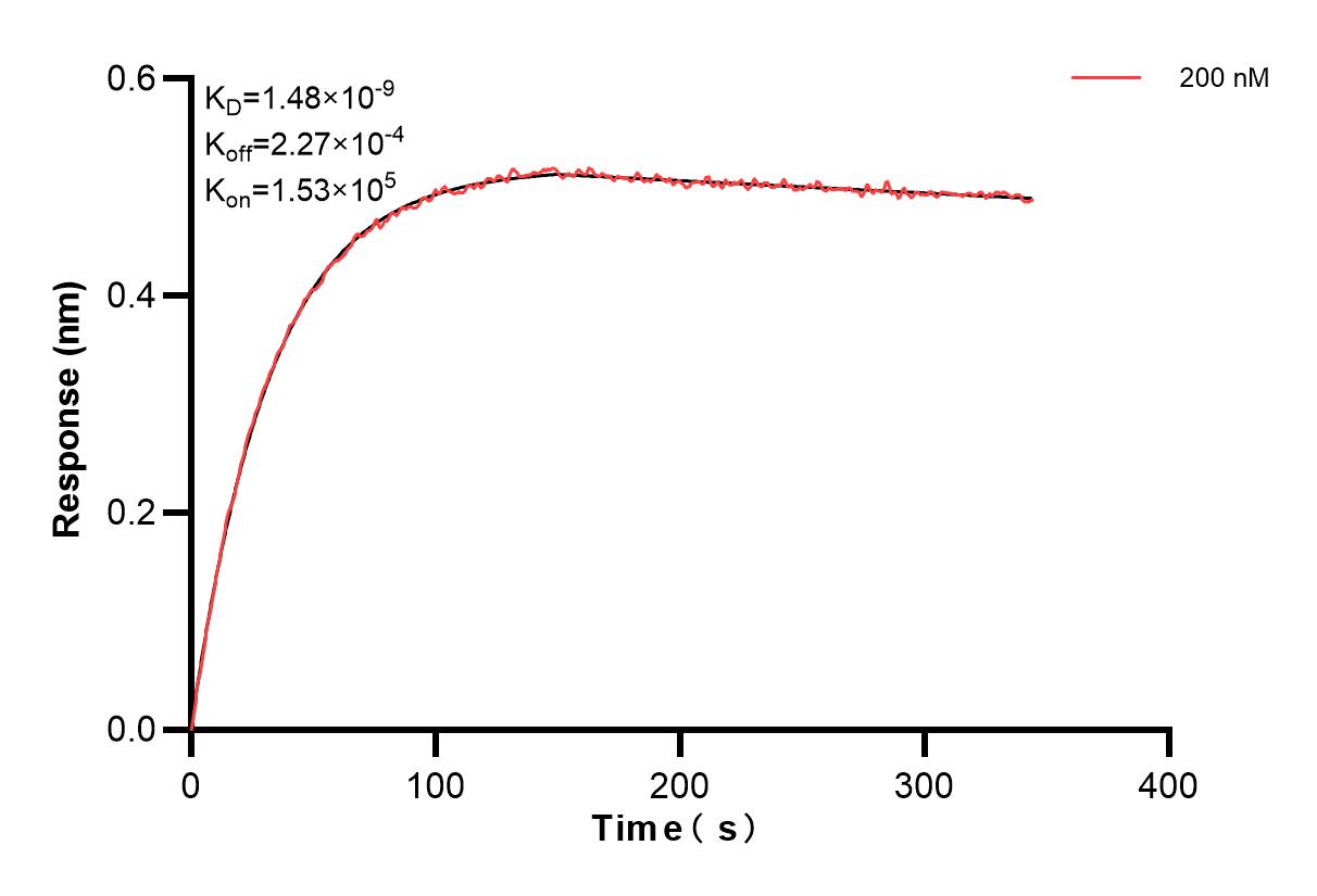 Affinity and Kinetic Characterization of 84649-1-PBS
