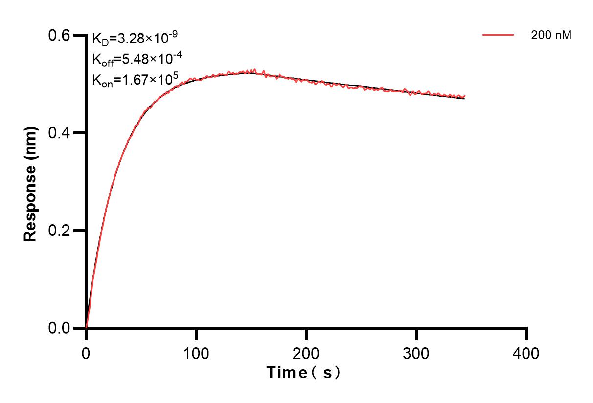 Affinity and Kinetic Characterization of 84649-3-PBS