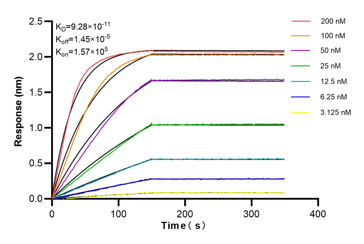 Affinity and Kinetic Characterization of 84654-4-RR