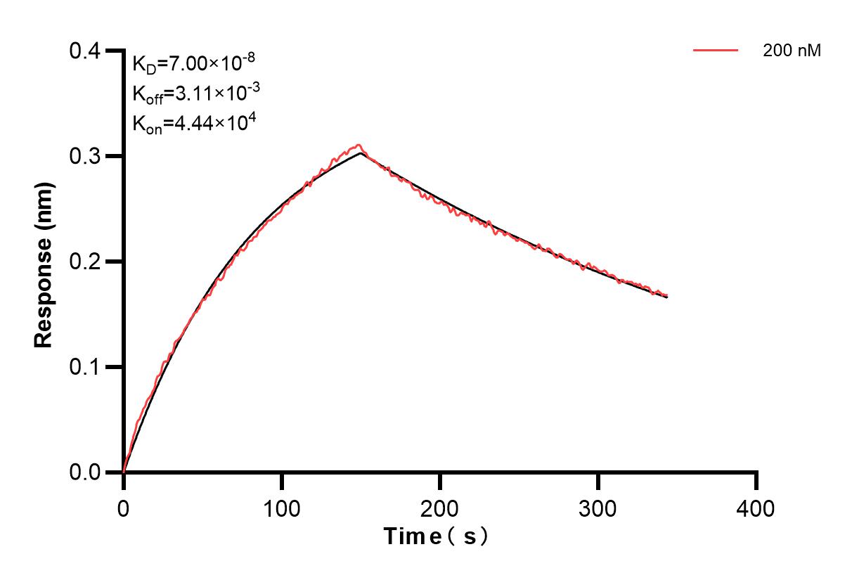 Biolayer interferometry (BLl) kinetic assays of 84662-3-PBS against Human FceR1a were performed. The affinity constant is 70.0 nM. Affinity and Kinetic Characterization of 84662-3-PBS