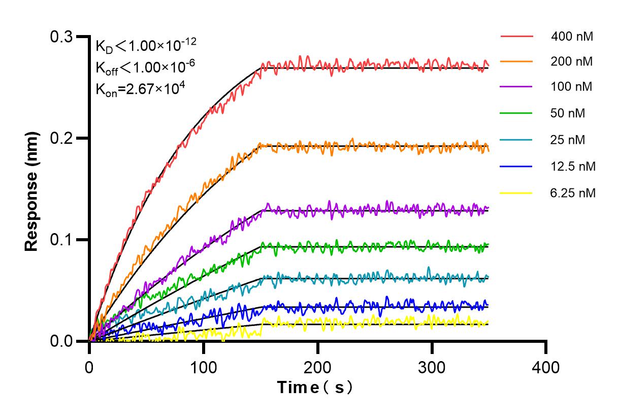 Affinity and Kinetic Characterization of 84679-4-RR