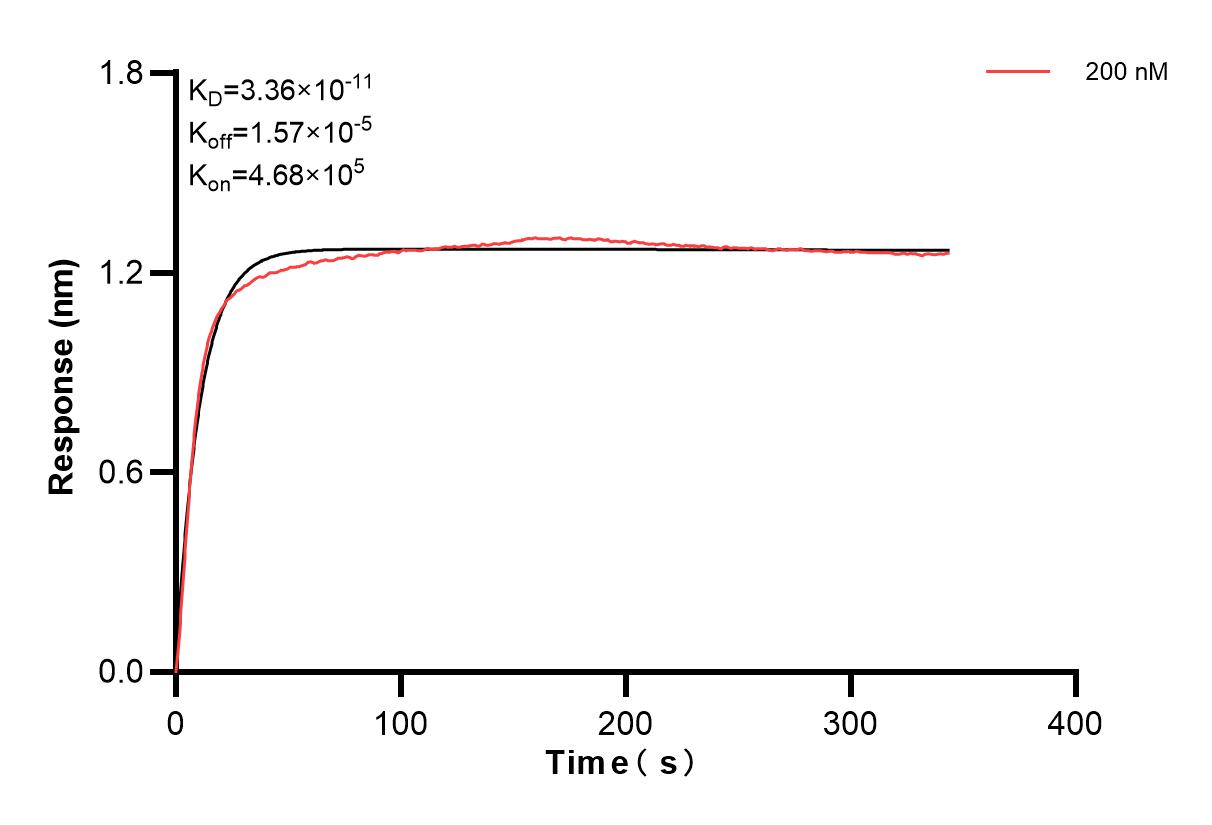 Affinity and Kinetic Characterization of 84683-1-PBS Affinity and Kinetic Characterization of 84683-1-PBS