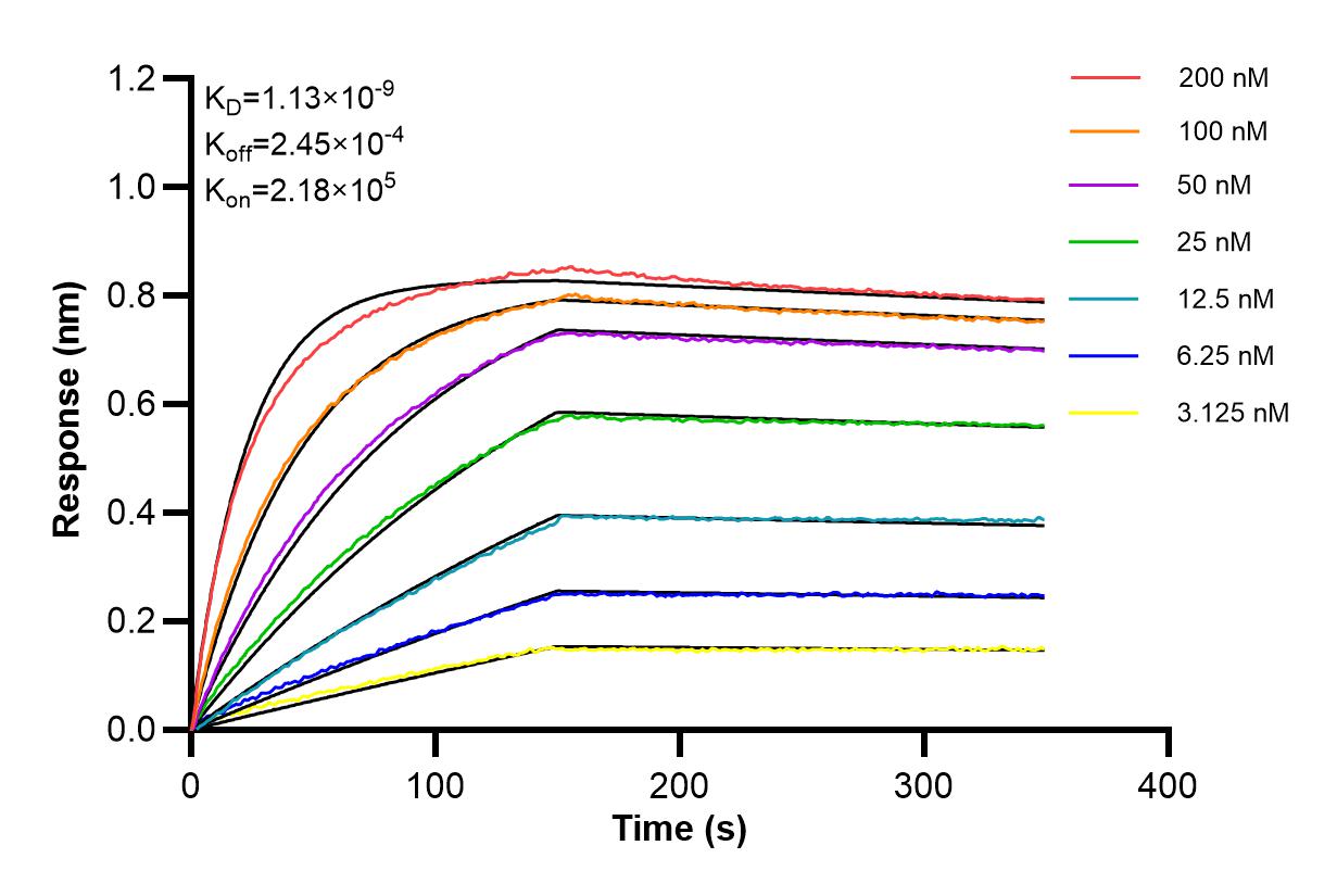 Affinity and Kinetic Characterization of 84686-1-PBS Affinity and Kinetic Characterization of 84686-1-PBS