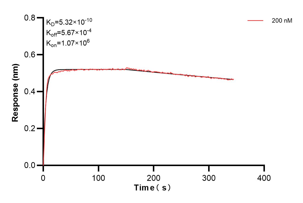 Biolayer interferometry (BLl) kinetic assay of 84687-1-PBS against Human VEGF121 was performed. The affinity constant is 0.532 nM. Affinity and Kinetic Characterization of 84687-1-PBS