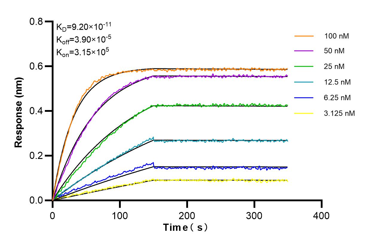 Affinity and Kinetic Characterization of 84687-2-RR