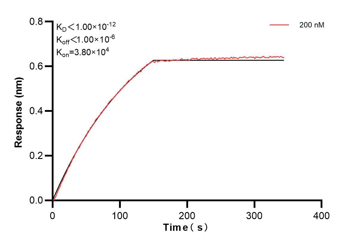 Affinity and Kinetic Characterization of 84700-3-PBS