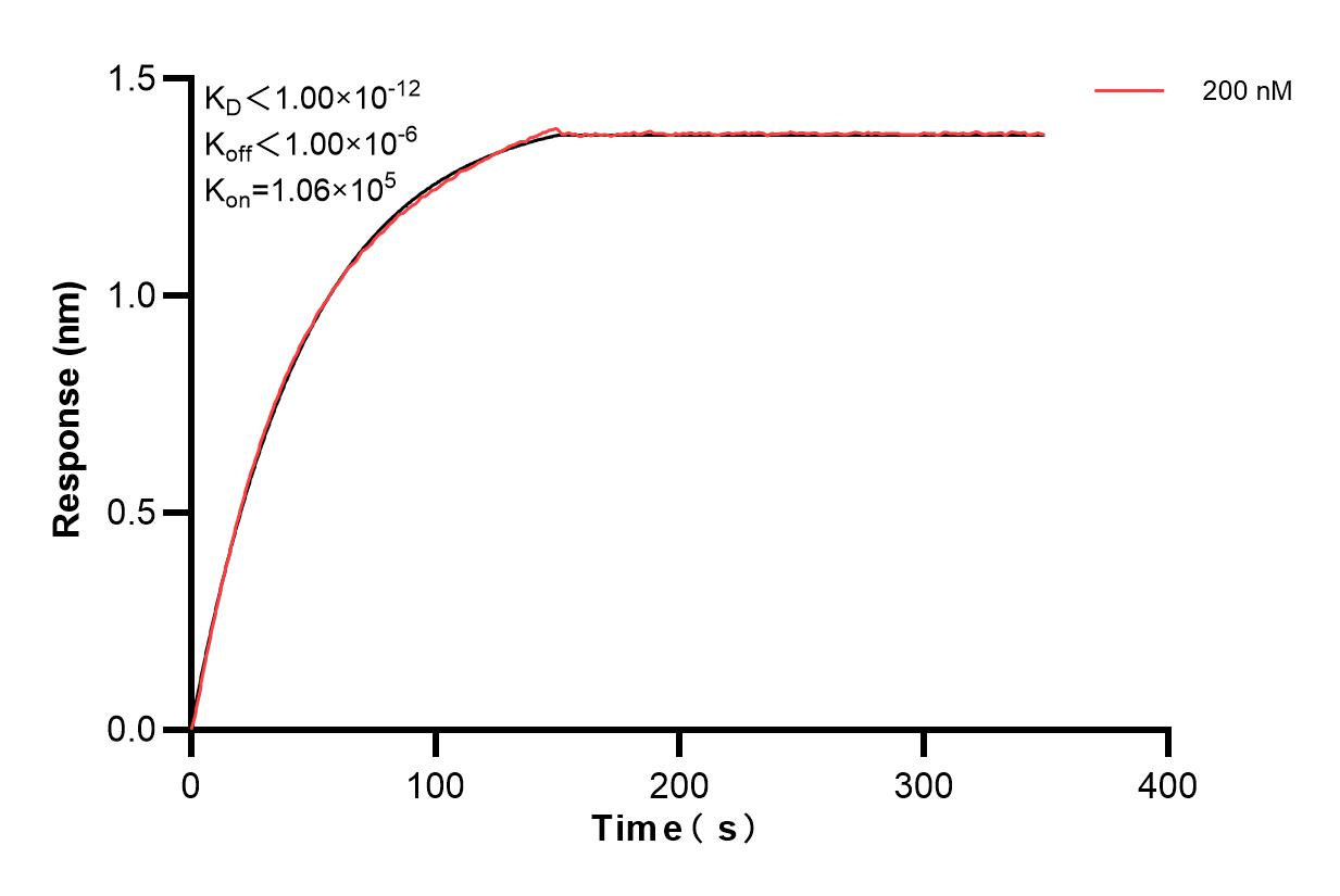 Biolayer interferometry (BLl) kinetic assay of 84722-2-PBS against Human MGEA5 was performed. The affinity constant is below 1 pM. Affinity and Kinetic Characterization of 84722-2-PBS