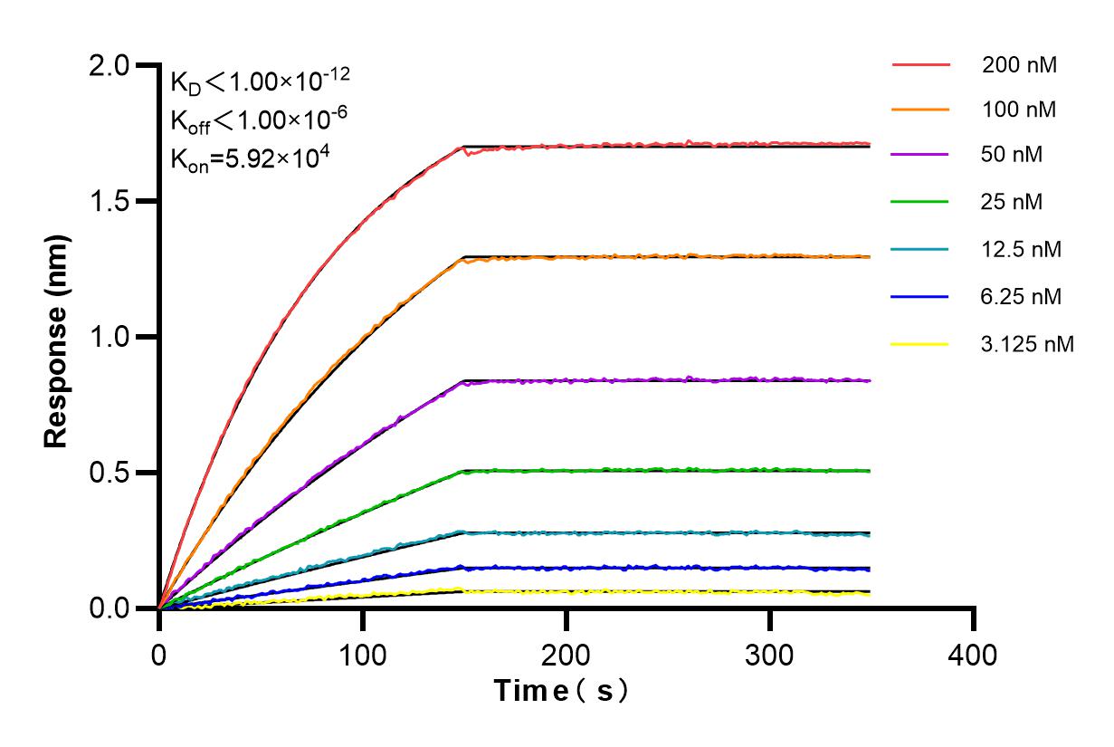 Affinity and Kinetic Characterization of 84723-3-RR