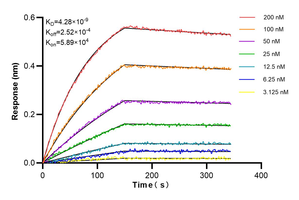 Affinity and Kinetic Characterization of 84734-3-RR