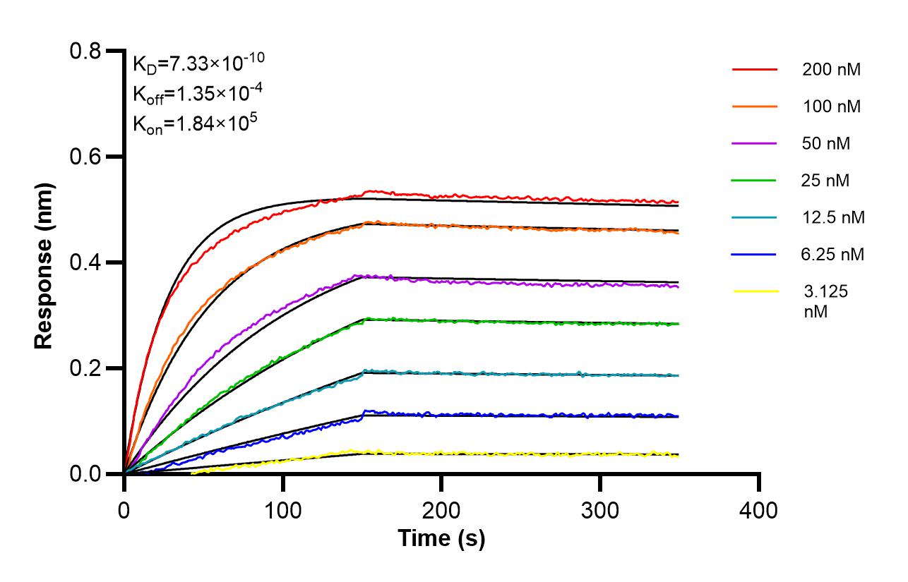 Affinity of 84773-3-RR