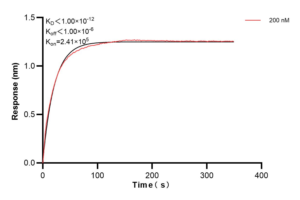 Biolayer interferometry (BLl) kinetic assay of 84780-5-PBS against Human MDM2/HDM2 was performed. The affinity constant is below 1 pM. Affinity and Kinetic Characterization of 84780-5-PBS