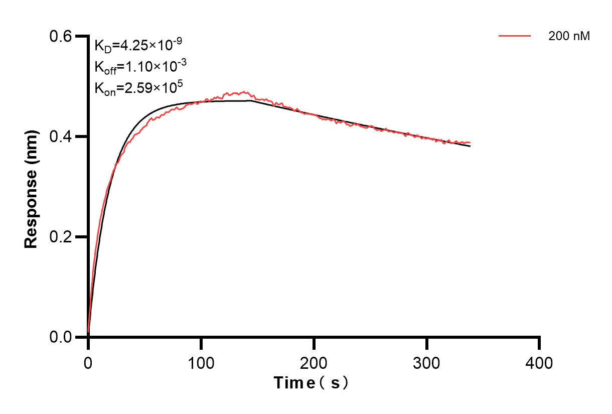 Affinity and Kinetic Characterization of 84784-3-PBS