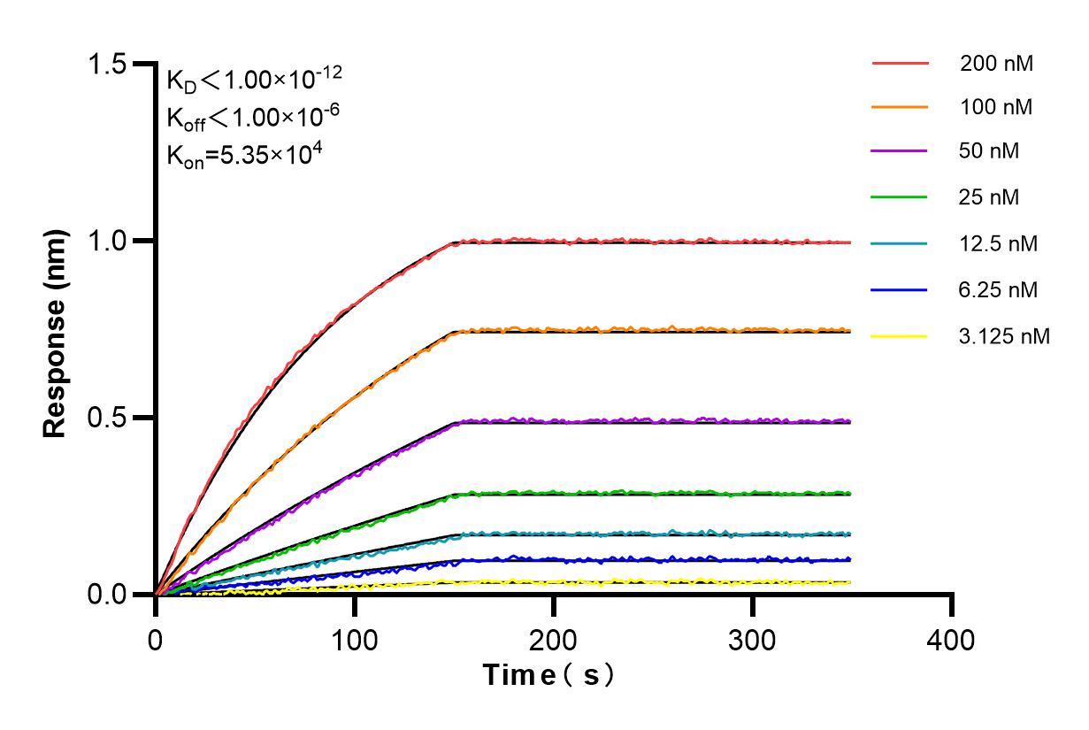 Affinity and Kinetic Characterization of 84800-1-RR