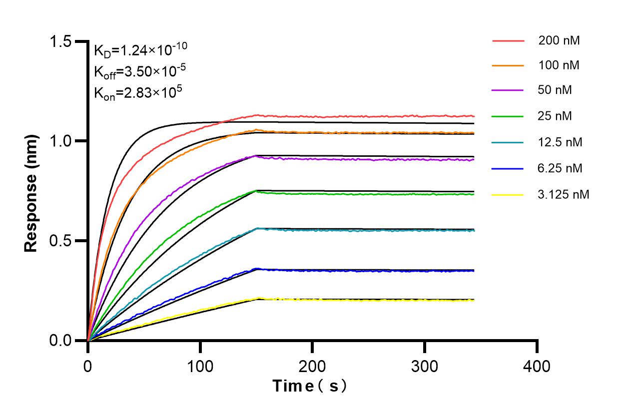 Affinity of 84819-5-RR