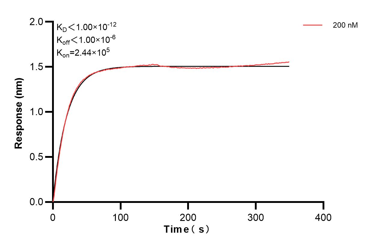 Biolayer interferometry (BLl) kinetic assay of 84822-3-PBS against Human STAU1 was performed. The affinity constant is below 1 pM. Affinity and Kinetic Characterization of 84822-3-PBS