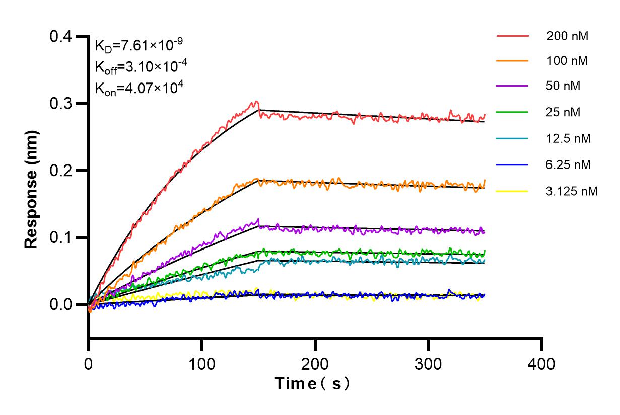 Affinity and Kinetic Characterization of 84850-5-RR