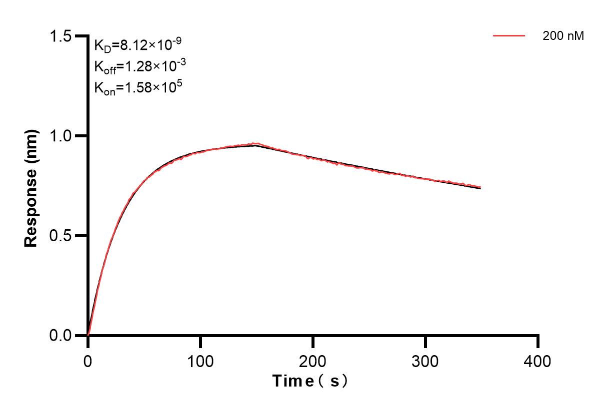 Affinity and Kinetic Characterization of 84854-4-PBS