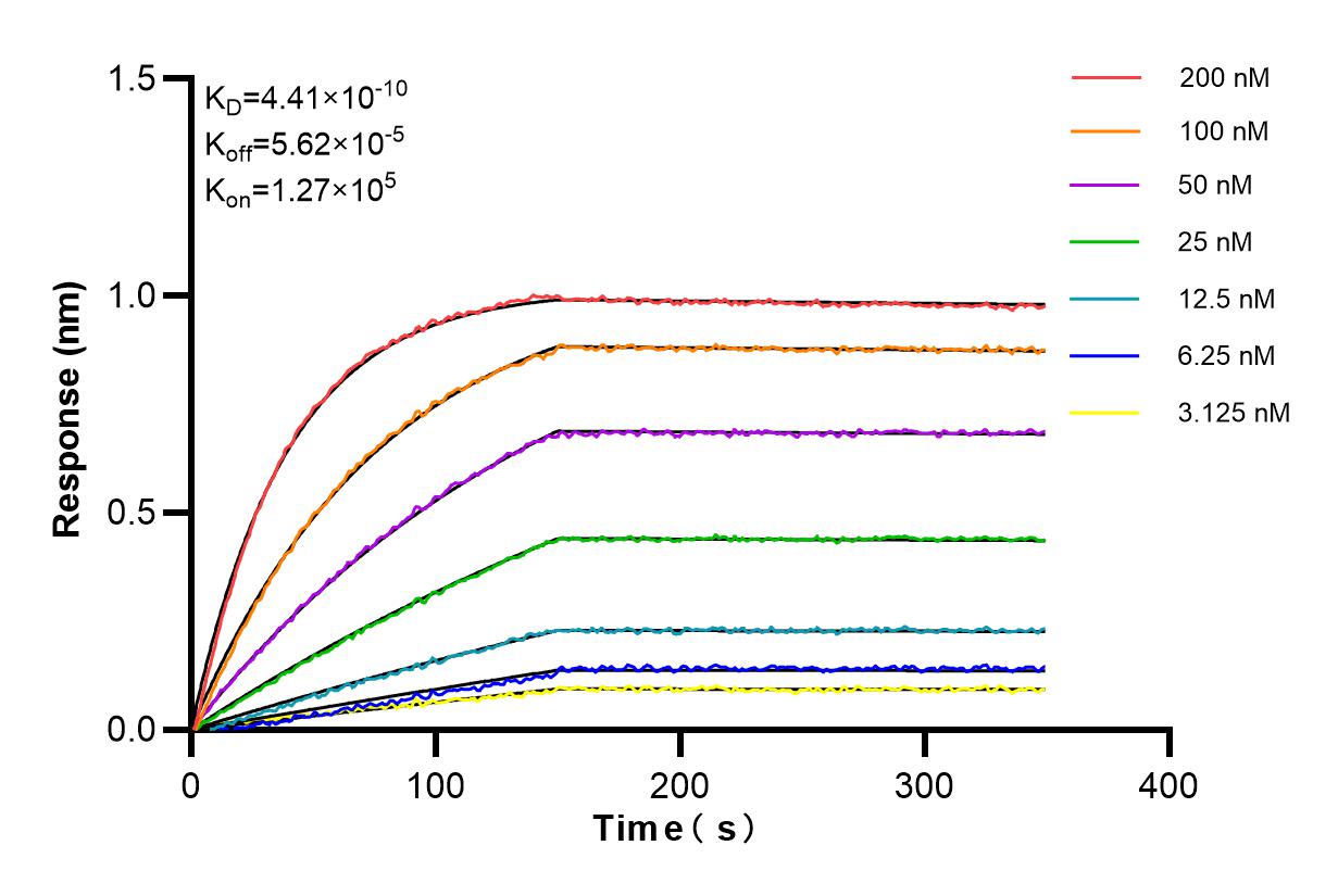 Affinity and Kinetic Characterization of 84866-2-RR