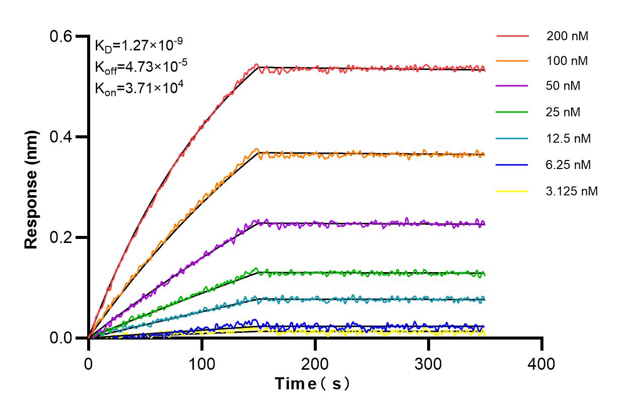 Affinity and Kinetic Characterization of 84870-4-RR