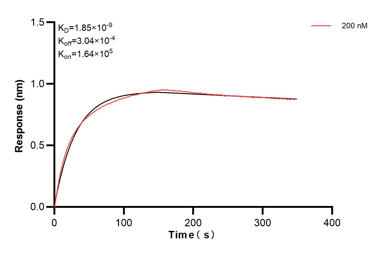 Affinity of 84873-2-PBS
