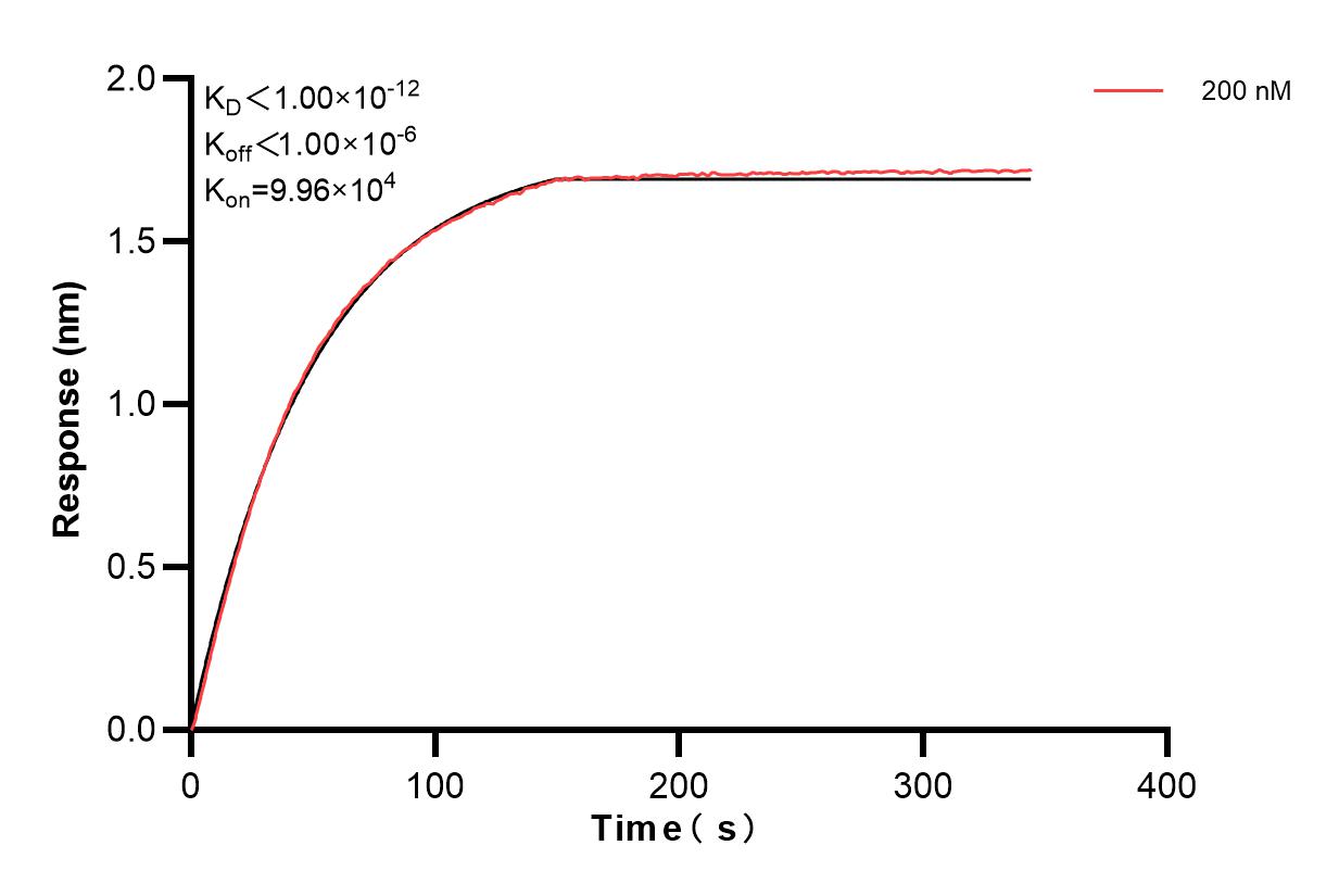 Affinity and Kinetic Characterization of 84874-1-PBS