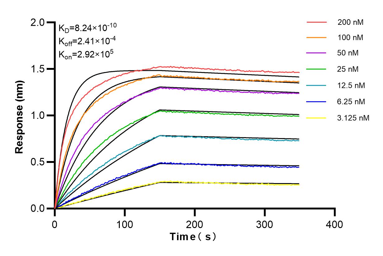 Affinity and Kinetic Characterization of 84876-5-RR