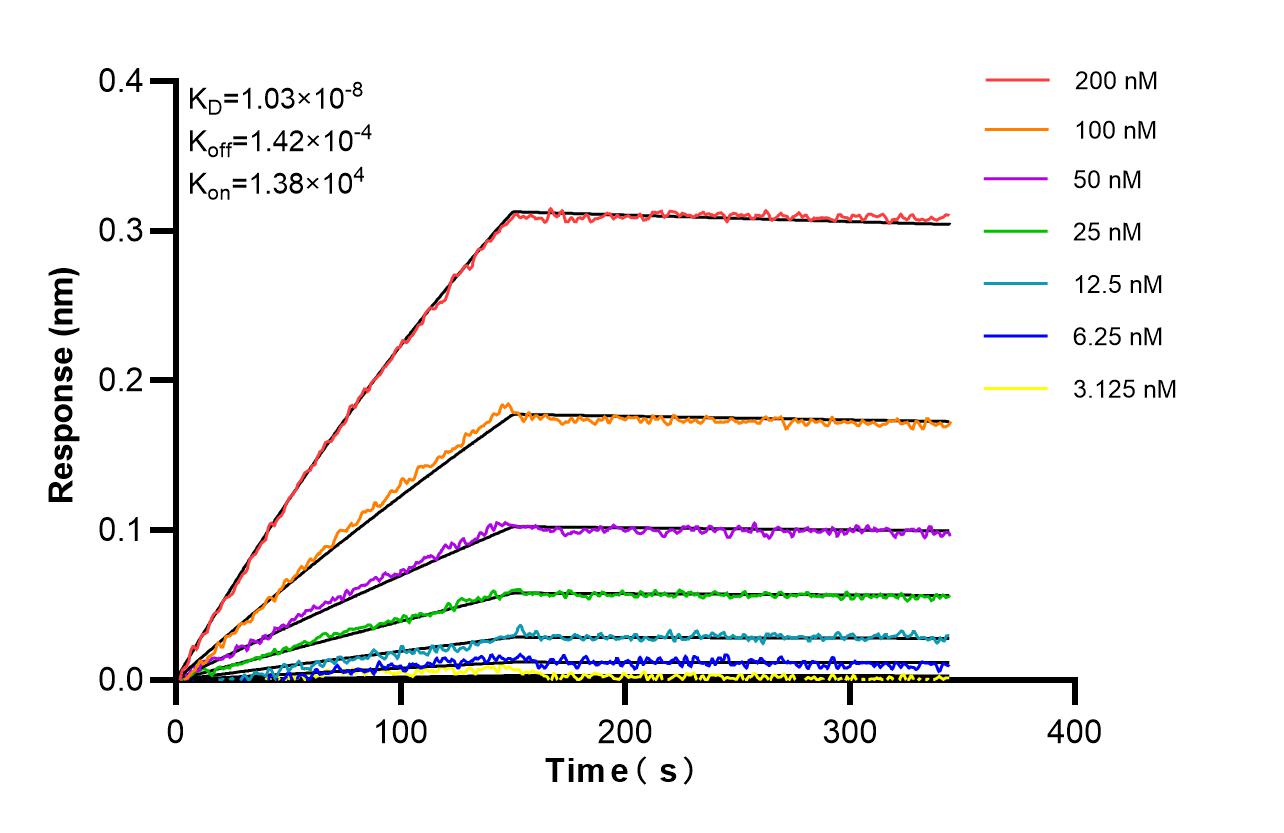 Affinity of 84876-9-RR Affinity of 84876-9-RR