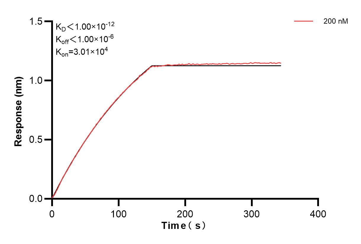 Biolayer interferometry (BLl) kinetic assay of 84880-2-PBS against Human NDUFS2 was performed. The affinity constant is below 1 pM. Affinity of 84880-2-PBS