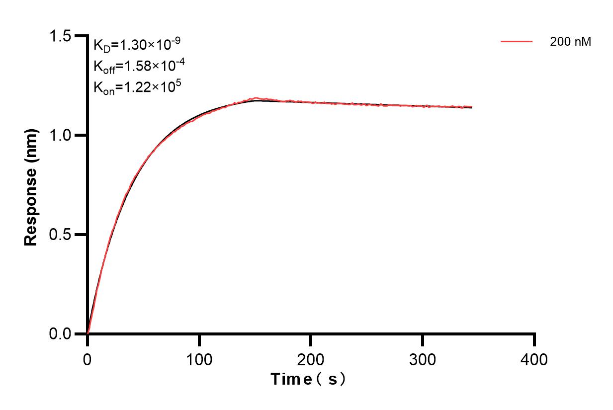 Affinity and Kinetic Characterization of 84882-3-PBS