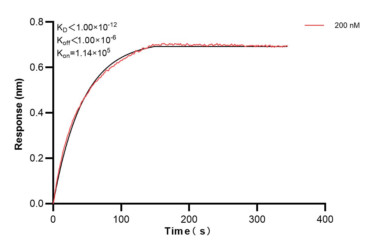 Affinity and Kinetic Characterization of 84882-4-PBS