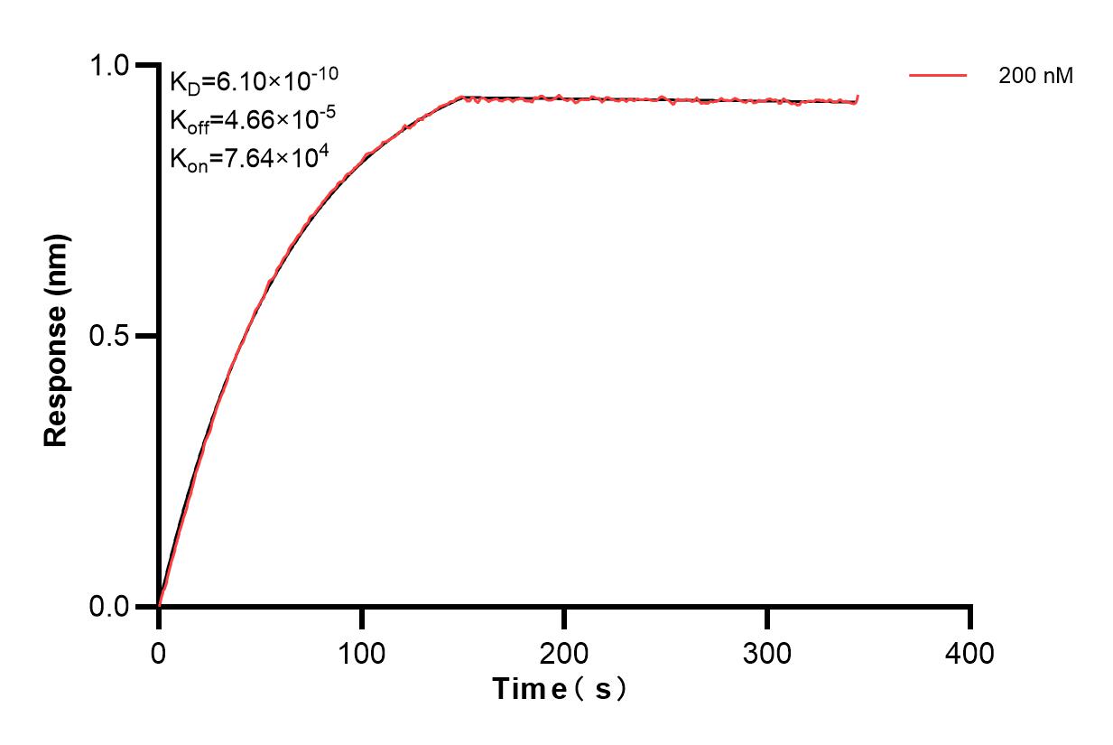 Affinity of 84885-2-PBS