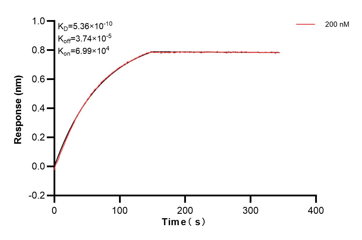 Affinity of 84885-3-PBS