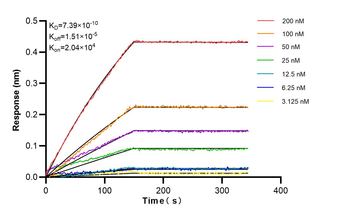 Affinity of 84890-4-RR Affinity of 84890-4-RR