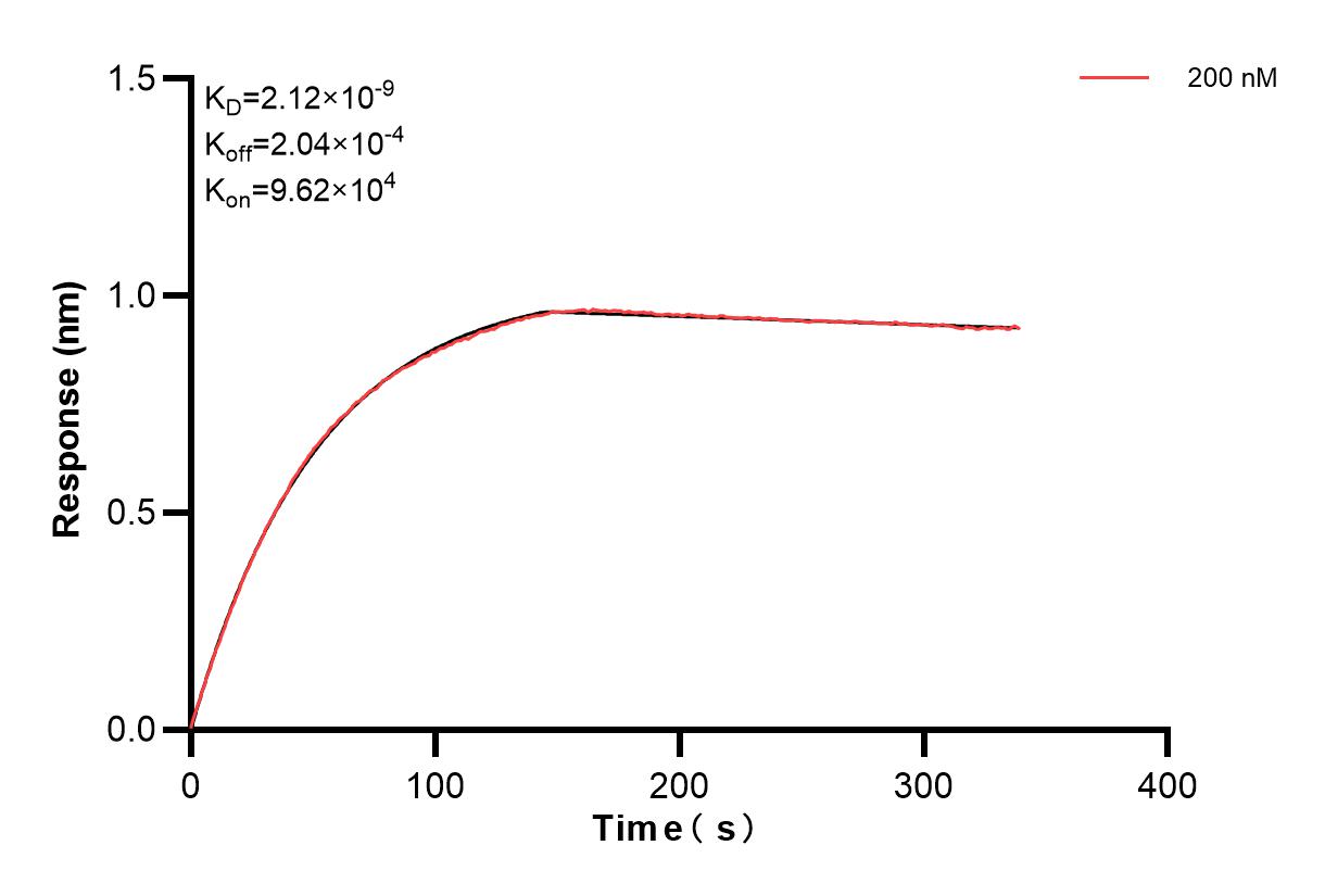 Affinity and Kinetic Characterization of 84915-1-PBS Affinity and Kinetic Characterization of 84915-1-PBS