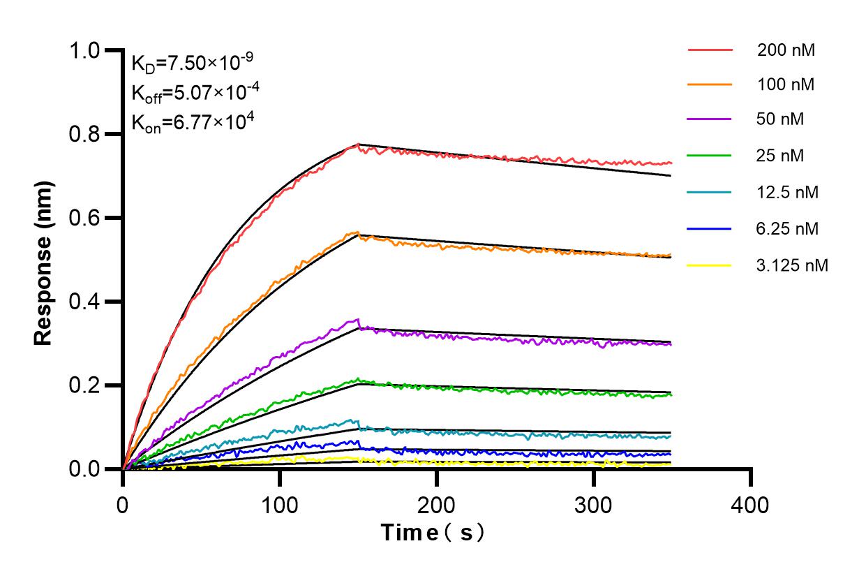 Affinity and Kinetic Characterization of 84926-1-RR