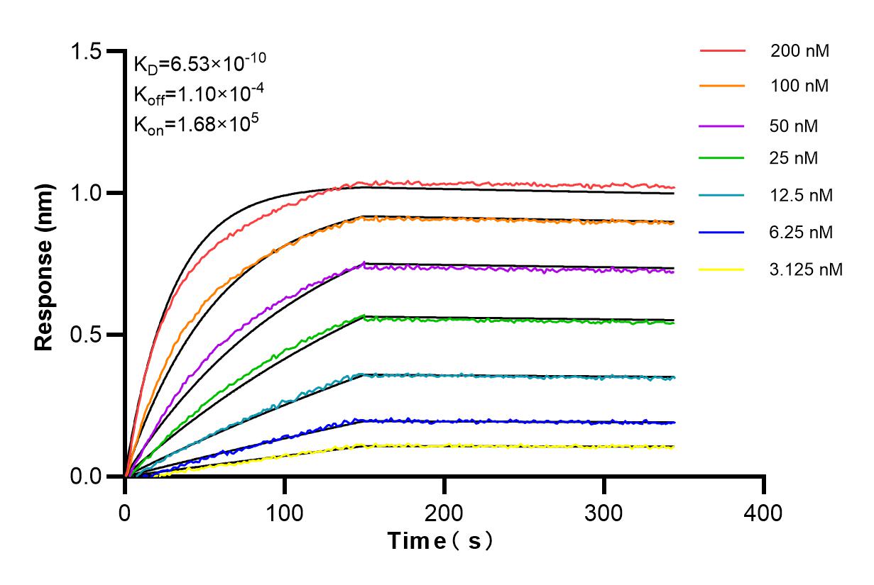 Affinity and Kinetic Characterization of 84927-6-RR