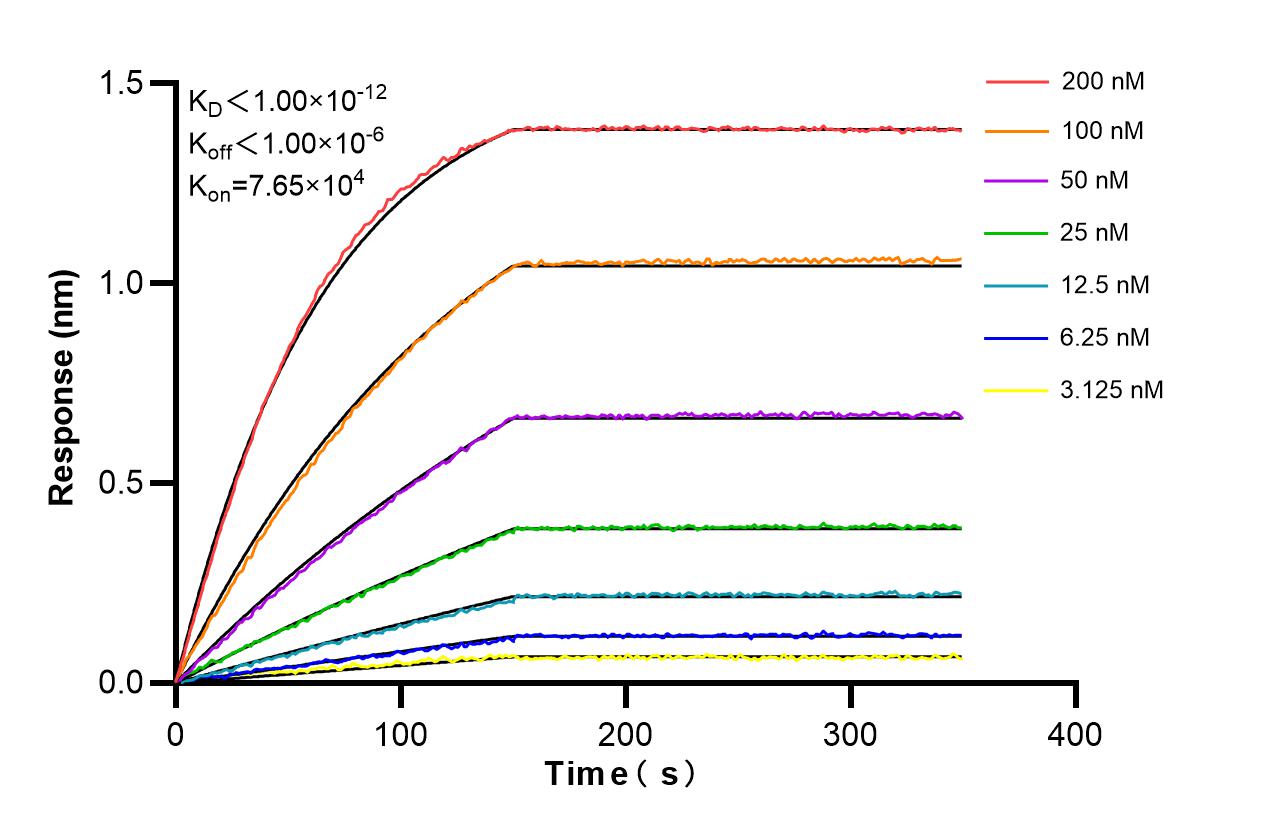 Biolayer interferometry (BLl) kinetic assays of 84929-4-PBS against Human TYRO3 were performed. The affinity constant is below 1 pM. Affinity and Kinetic Characterization of 84929-4-PBS