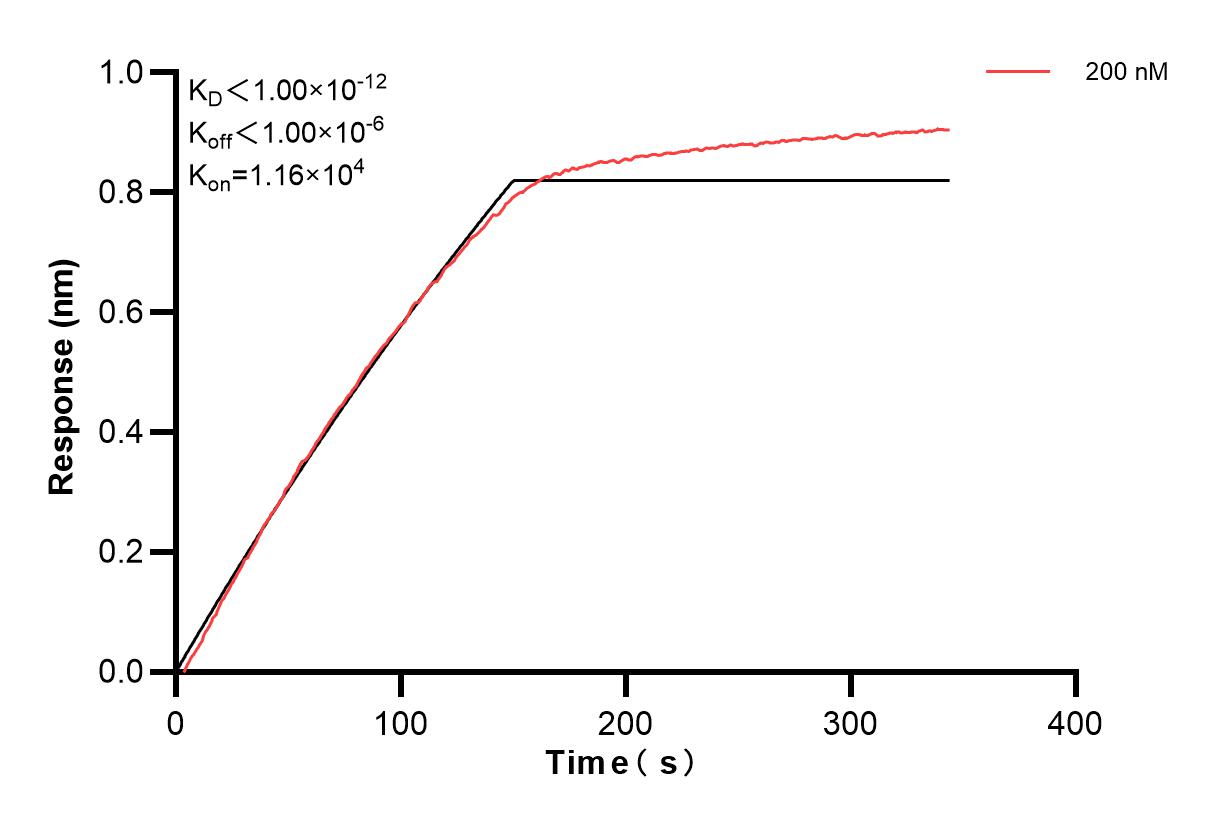 Affinity and Kinetic Characterization of 84929-5-PBS