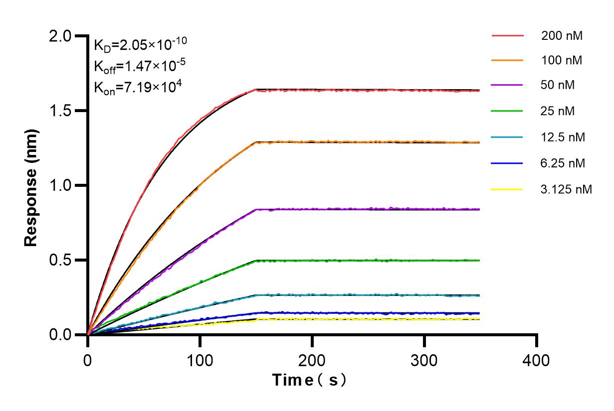 Affinity and Kinetic Characterization of 84932-4-RR
