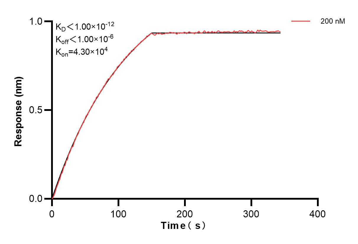 Affinity and Kinetic Characterization of 84938-2-PBS