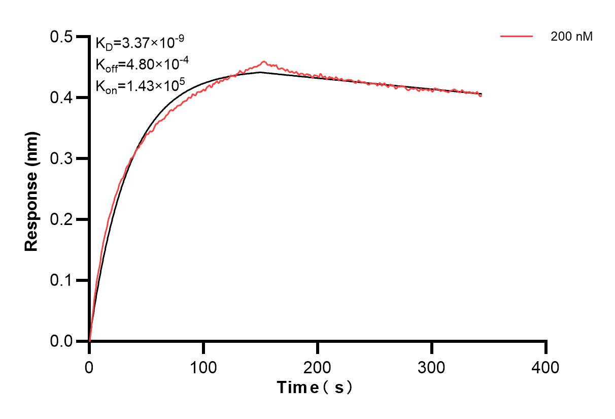 Affinity of 84940-2-PBS Affinity of 84940-2-PBS