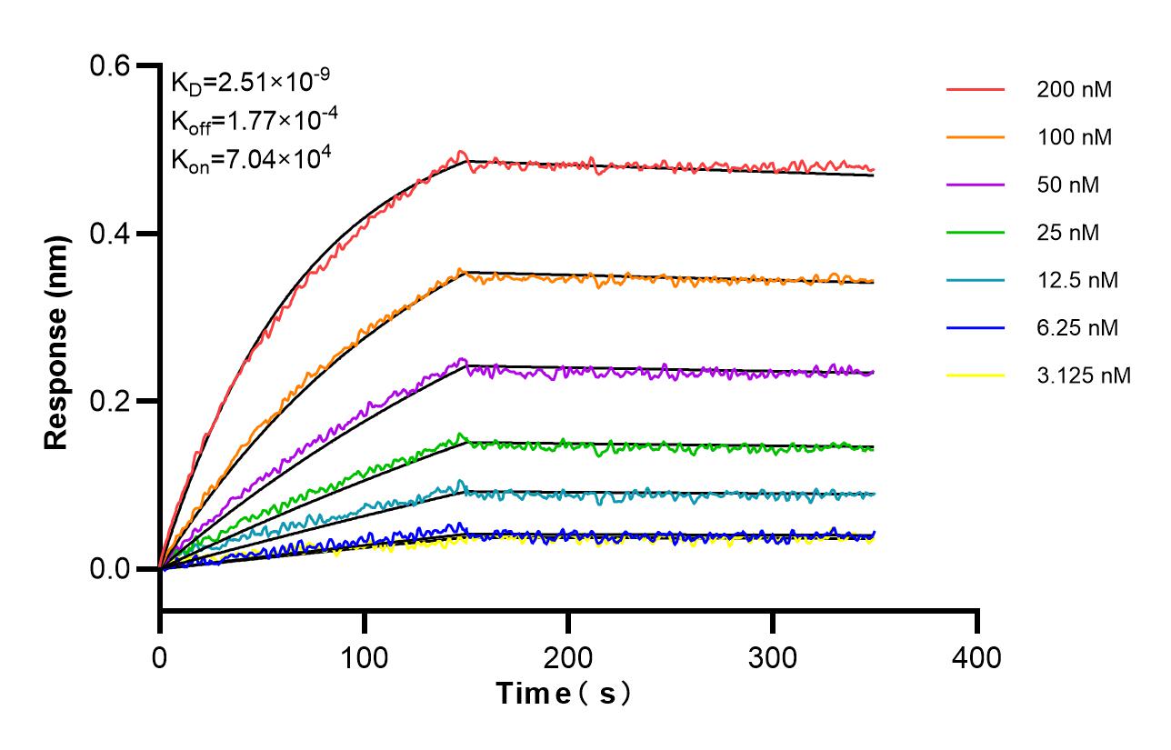 Affinity and Kinetic Characterization of 84951-4-RR