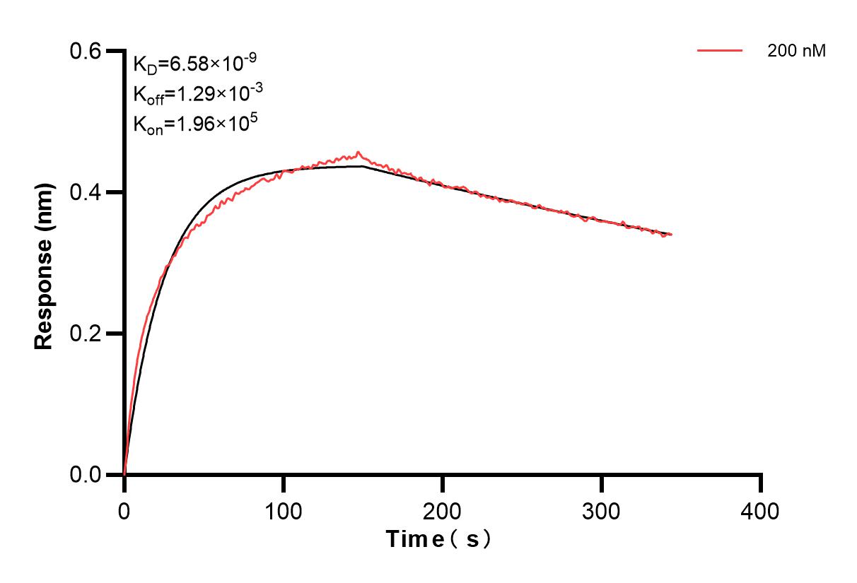Affinity and Kinetic Characterization of 84960-3-PBS