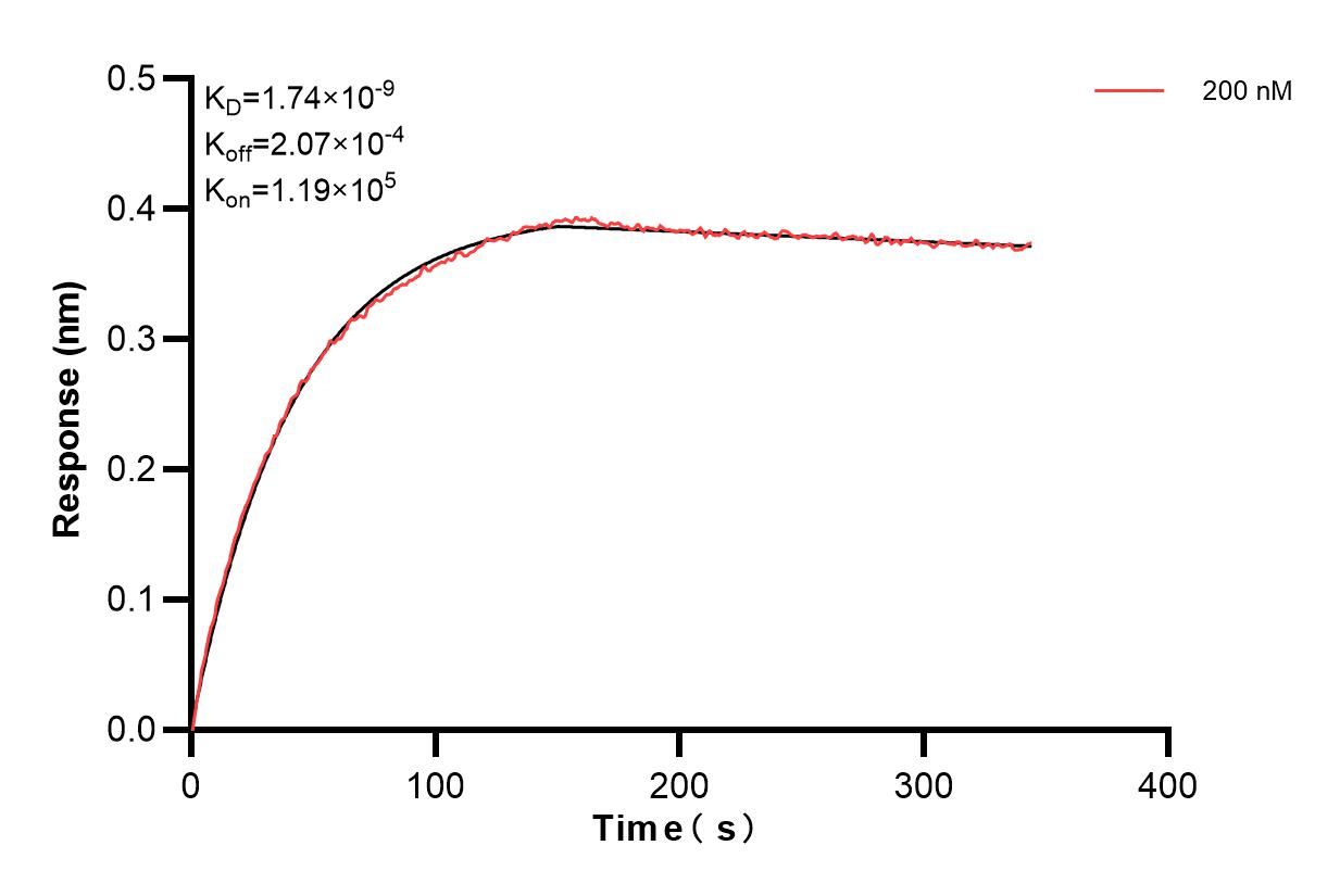 Affinity of 84961-3-PBS