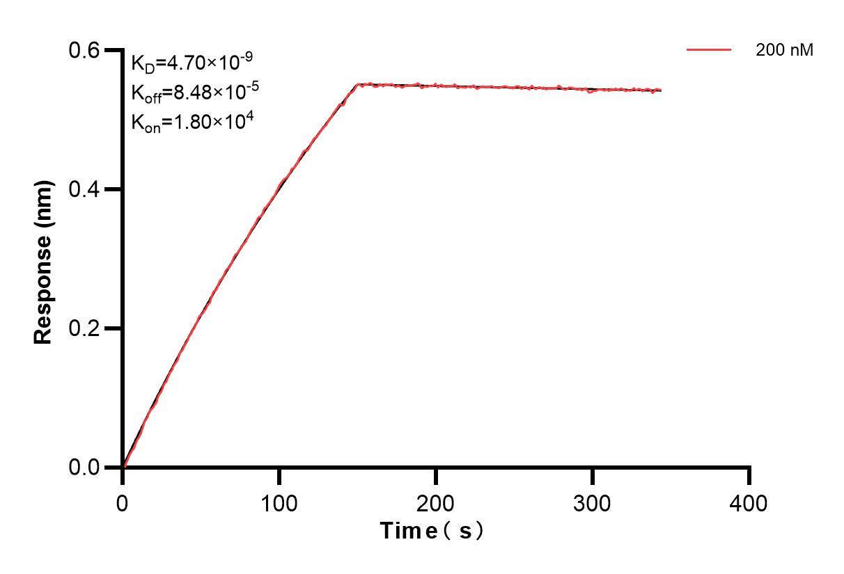 Biolayer interferometry (BLl) kinetic assay of 84971-4-PBS against Human GS28 was performed. The affinity constant is 4.70 nM. Affinity of 84971-4-PBS