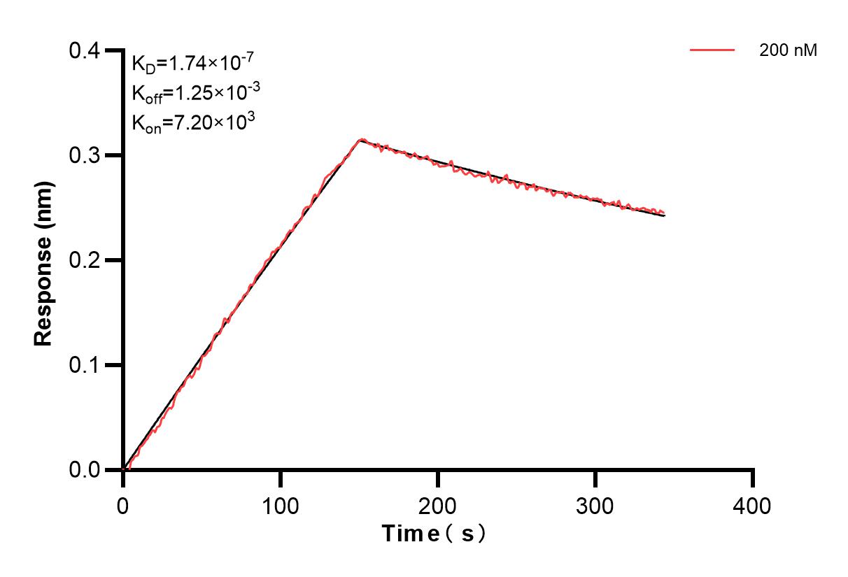 Affinity of 84985-1-PBS