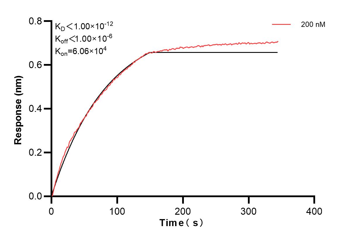Affinity and Kinetic Characterization of 84993-3-PBS